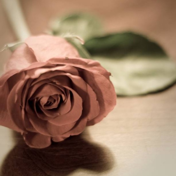 Meet your Posher, Mélissa - Picture 1 of 1